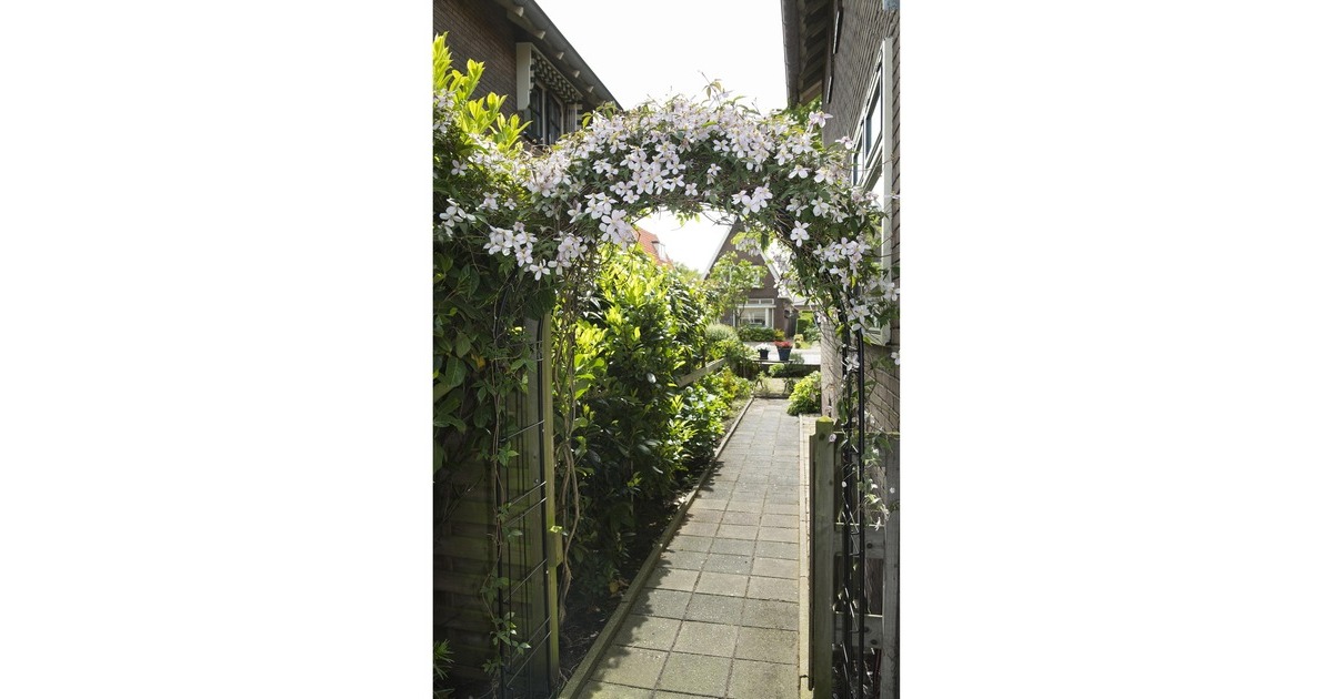 NatureMetalen rozenboog kweekkas  (Zwart)