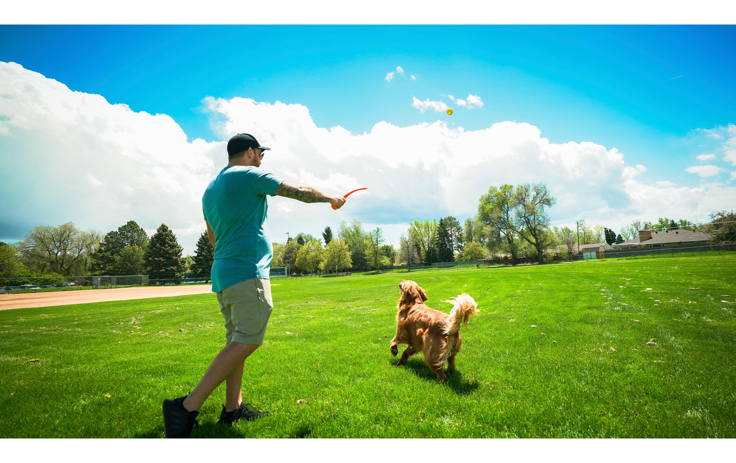 Hunde-Spielzeug Flingerz Ball mit Launcher, Orange/GelbWurf-Hundespielzeug