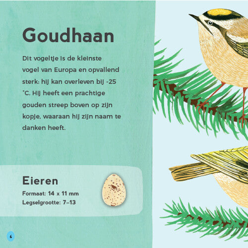 Uitgeverij lemniscaat mijn eerste vogelboek