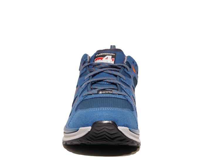 Vierdaagse Lowa Innox Evo N4D GTX L 60