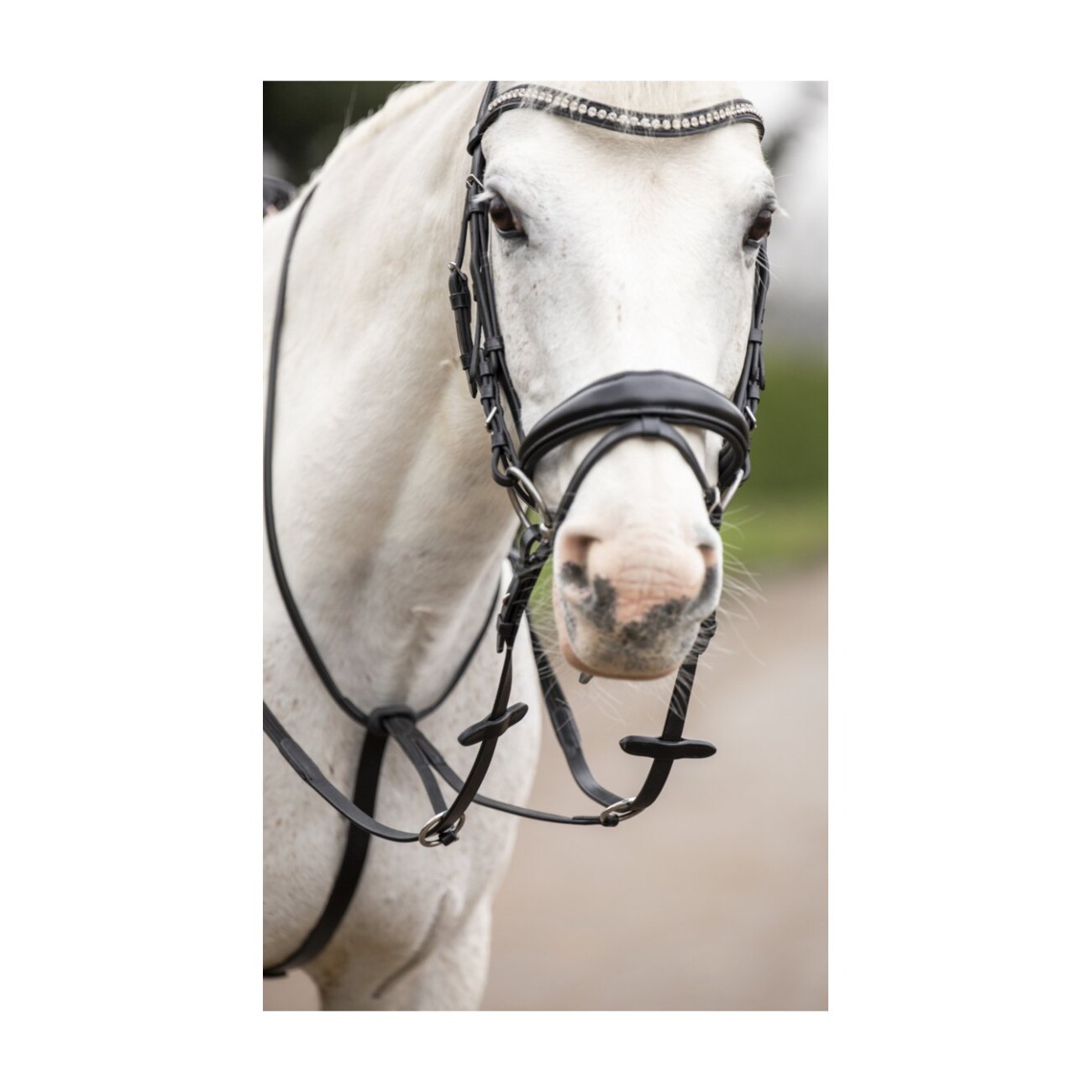 4Horses Martingal aus Büffelleder