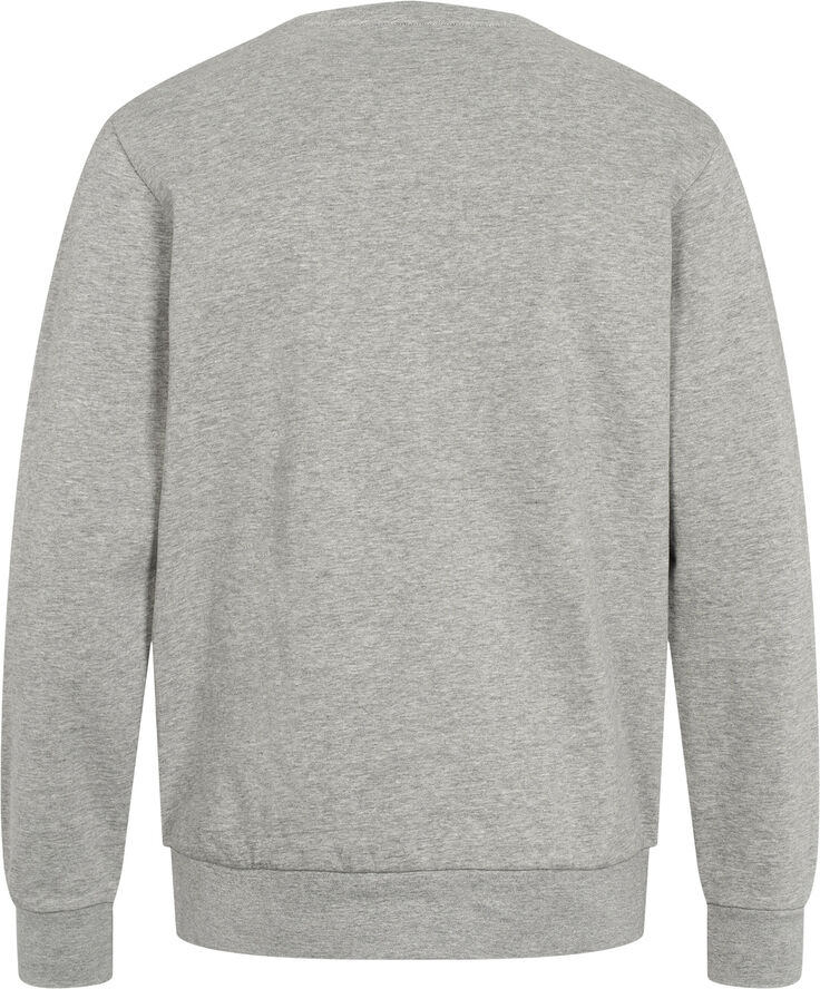 U.S. Polo Assn. Hugo Reg SW USPA M SWEAT Grey mélange