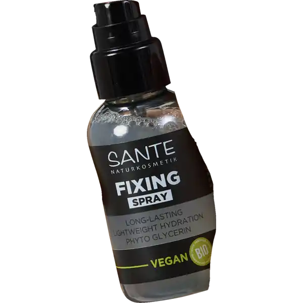 Fixing Spray