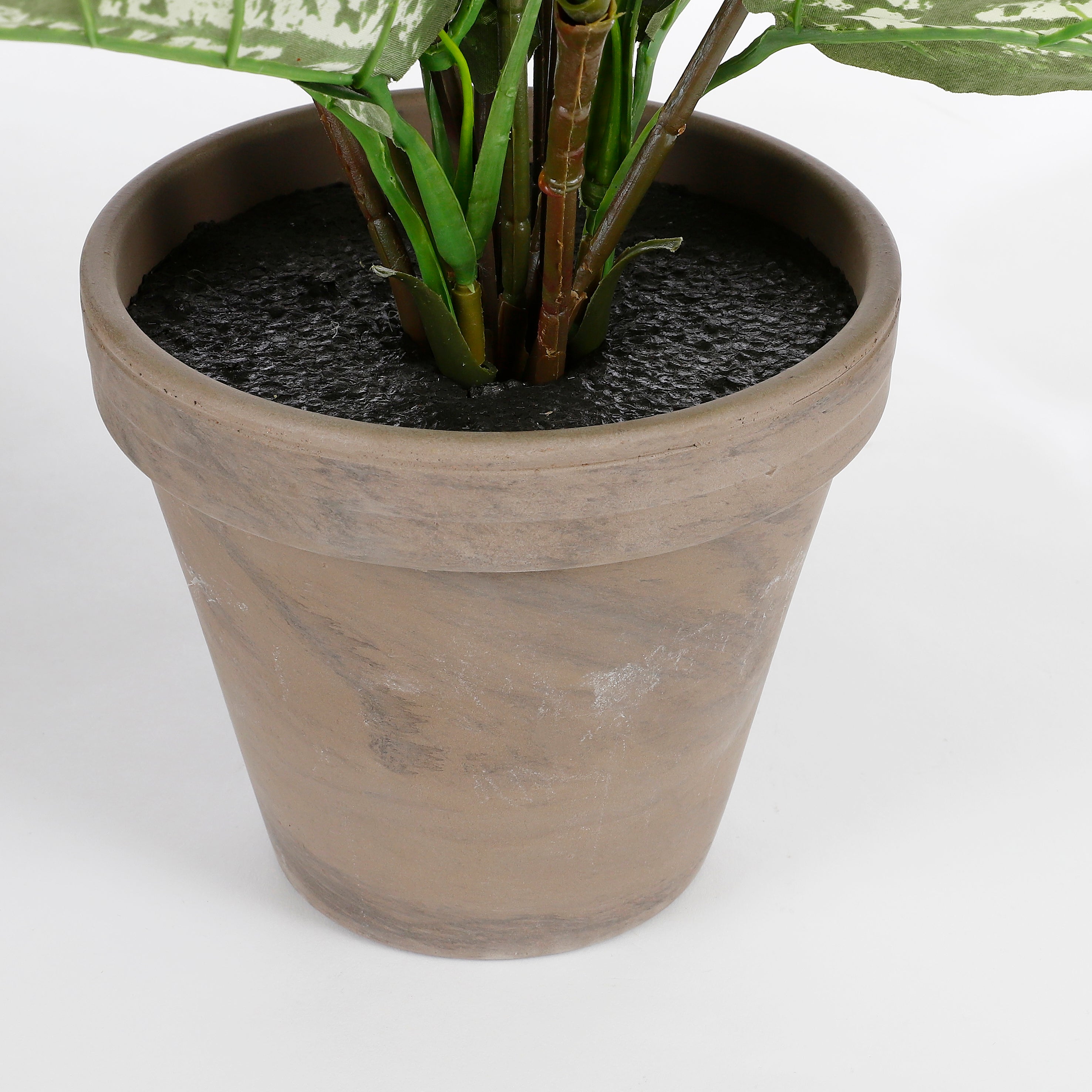 Mica Decorations Kunstplant - dieffenbachia - groen - 70 cm