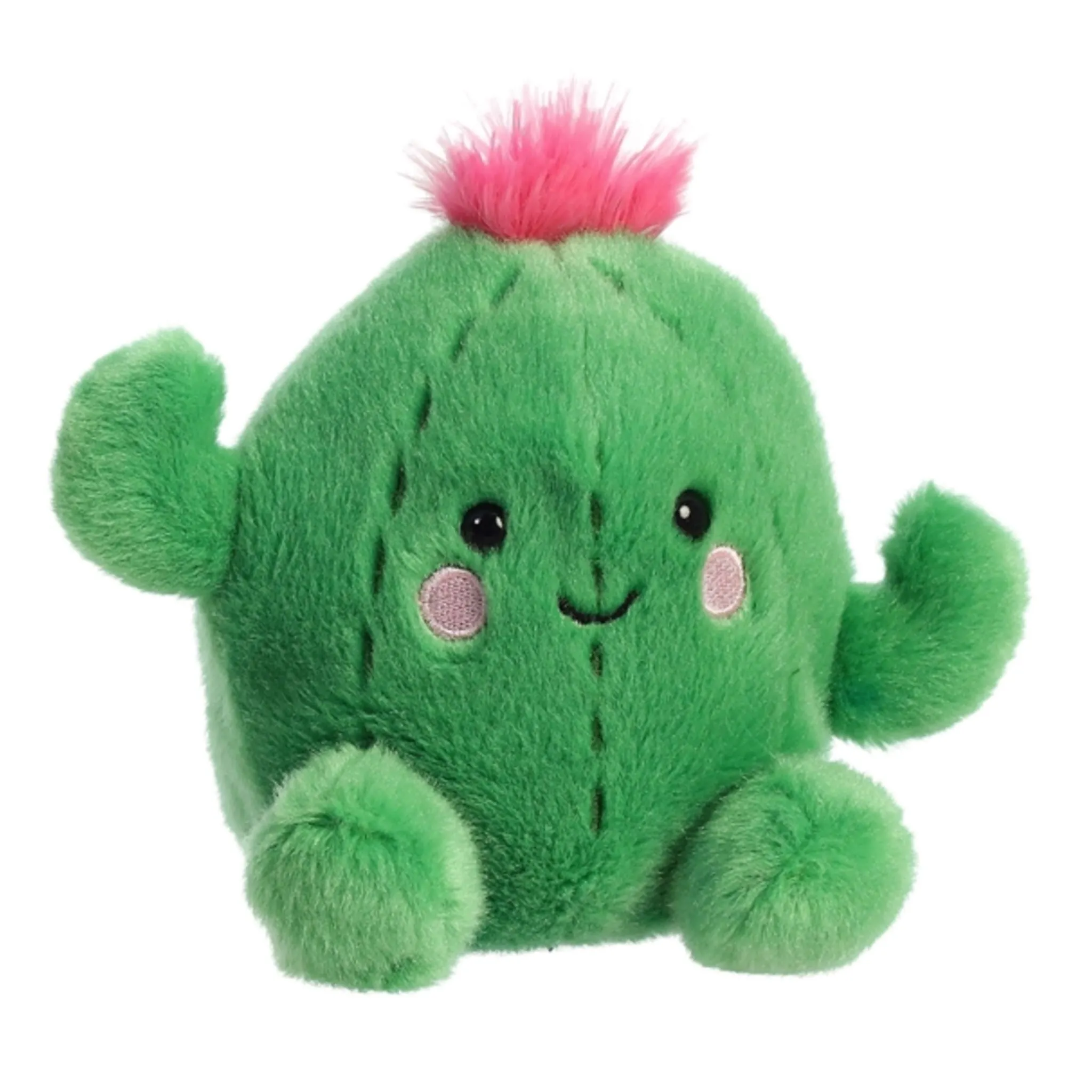 Aurora Cactus Souriant 5