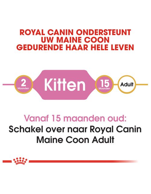 Royal Canin Maine Coon Kitten - Kitten-Kattenvoer