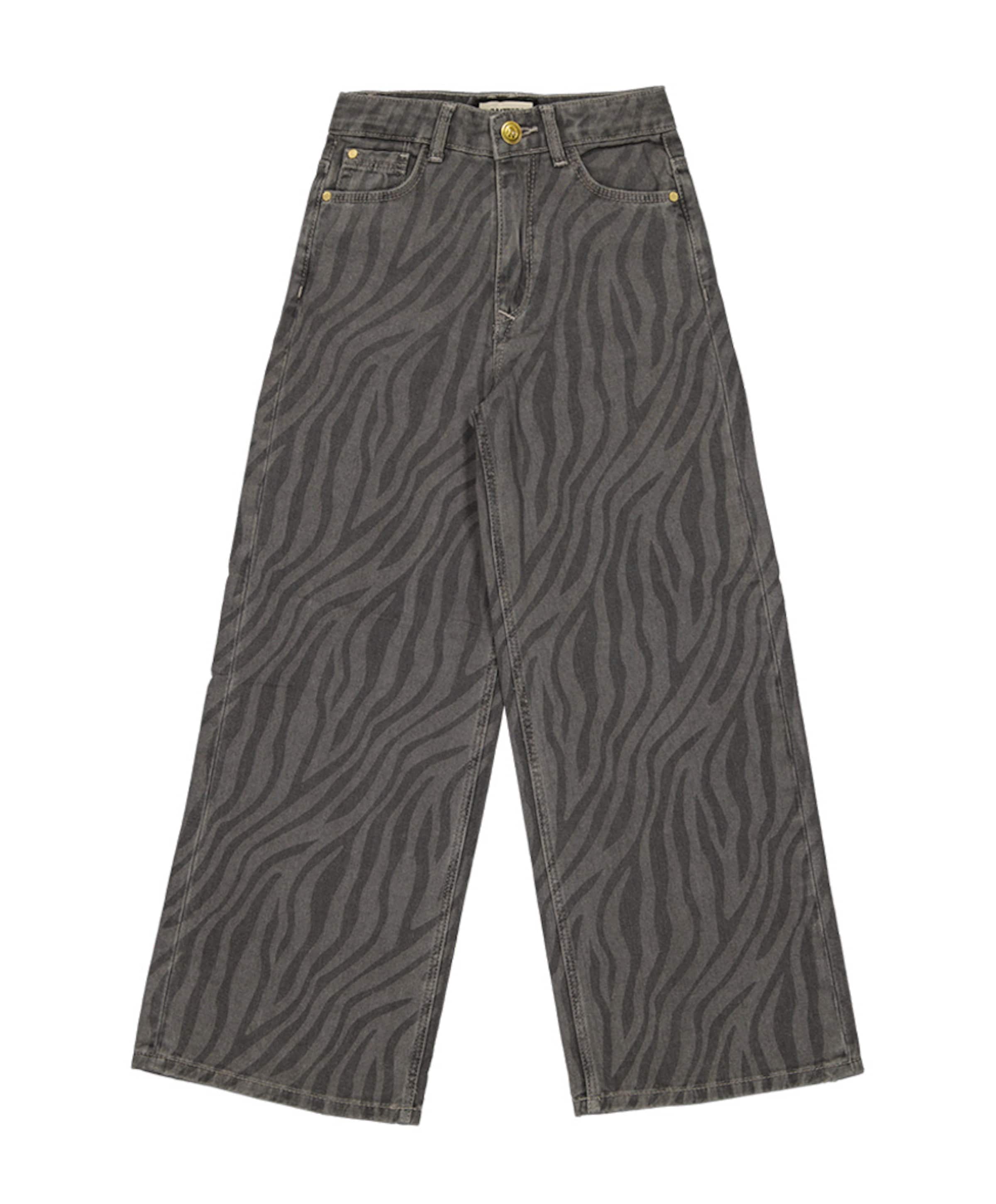 Raizzed Monaco Zebra meisjes jeans grijs