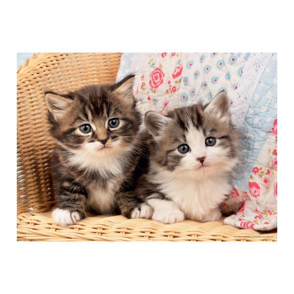 Puzzle 100 pièces - Duo de chatons