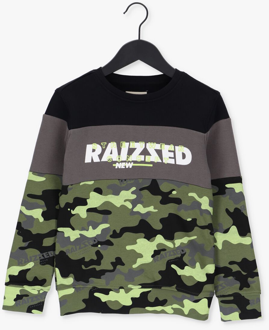 RAIZZED groene raizzed trui morgan