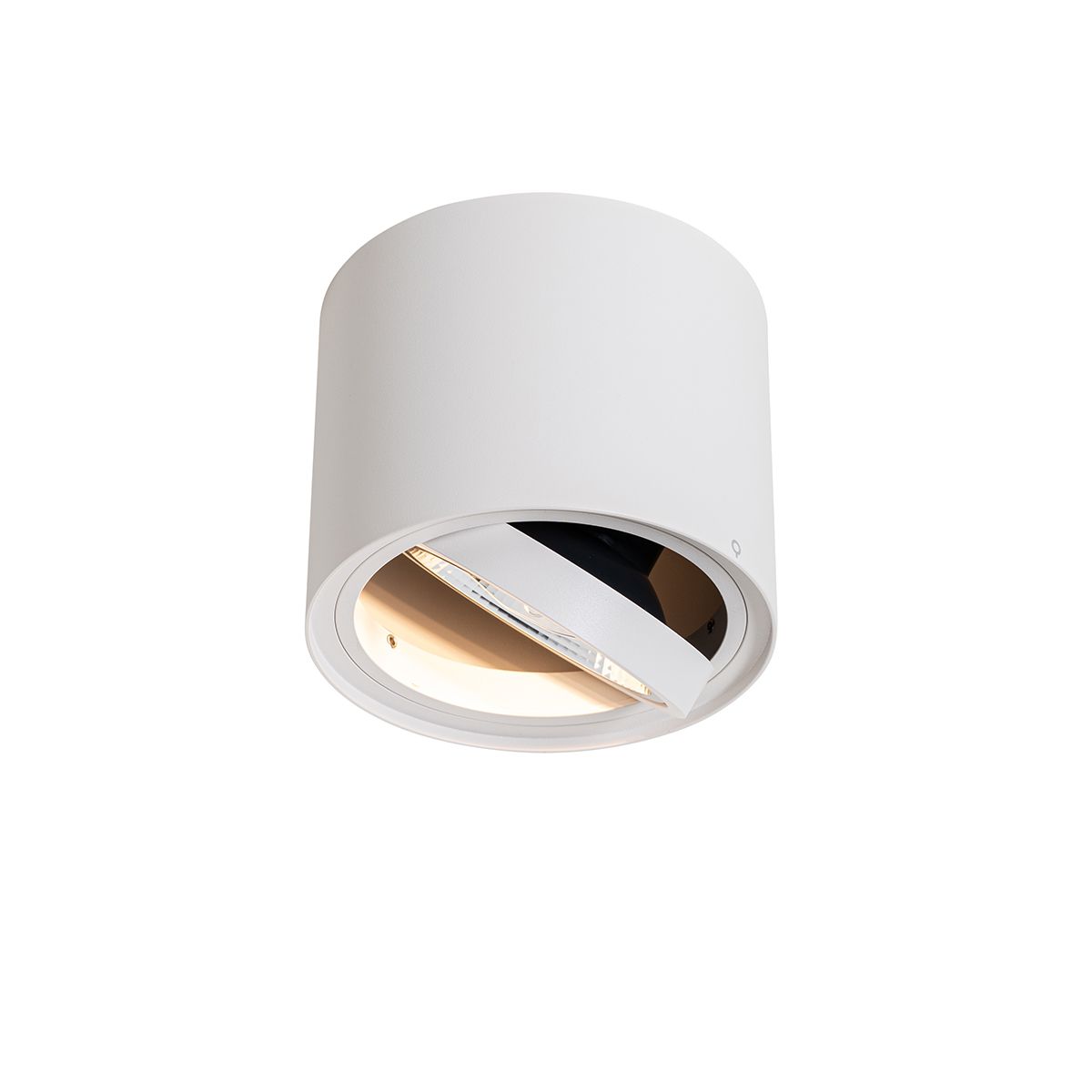 Smart plafondspot wit draai- en kantelbaar incl. Wifi GU10 111mm - Rondoo Up