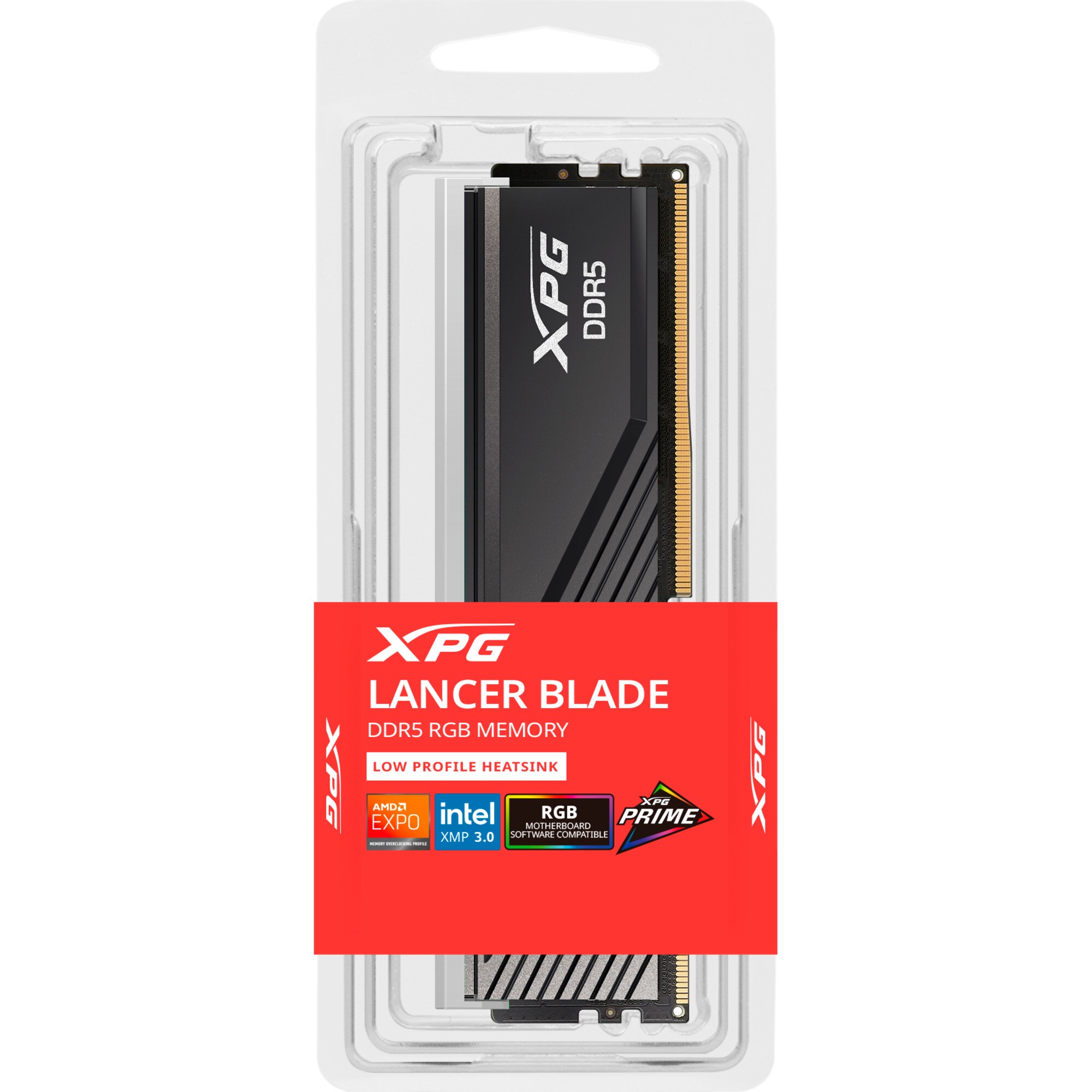 ADATA Arbeitsspeicher DIMM 32 GB DDR5-6000