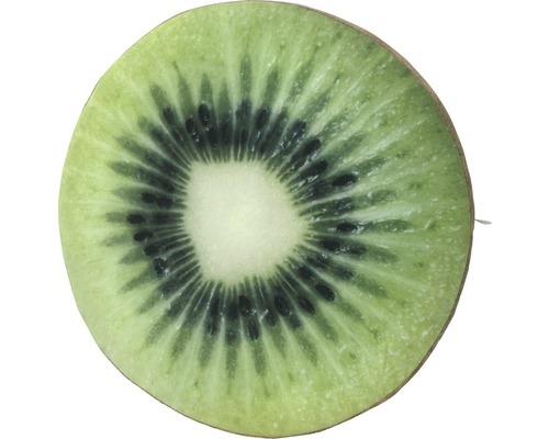 Fluwelen Kiwi zitkussen Ø 40 cm