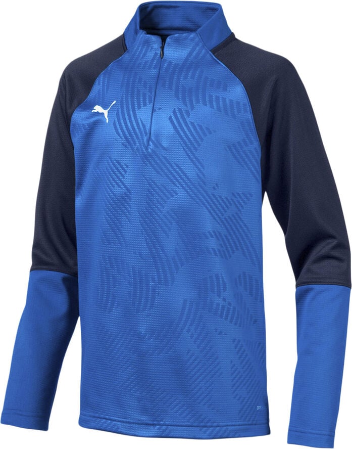 Puma Cup Trainer 1/4 Zip Trøje Blå