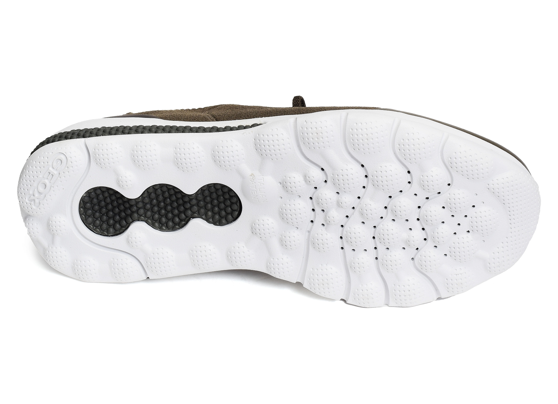 U spherica actif a kaki