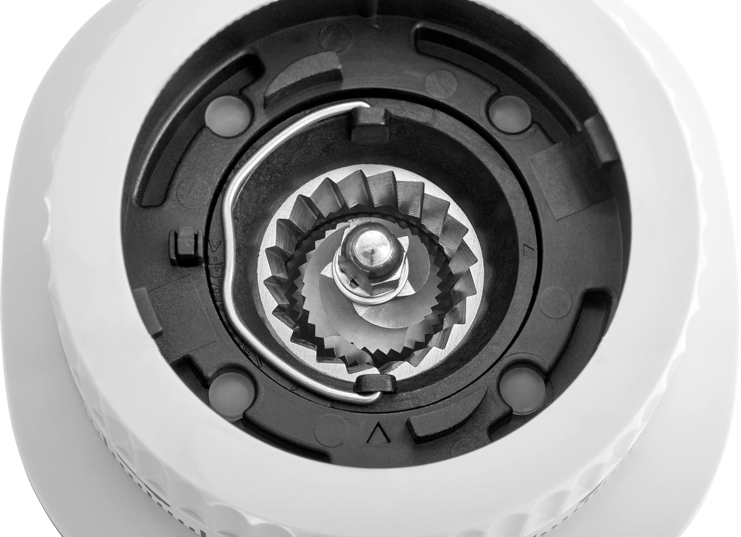 ZWILLING ENFINIGY Kaffeemühle für 1-12 Tassen, Elektrische Kaffeemühle mit aromaschonendem Kegelmahlwerk & einstellbarem Mahlgrad, Silber
