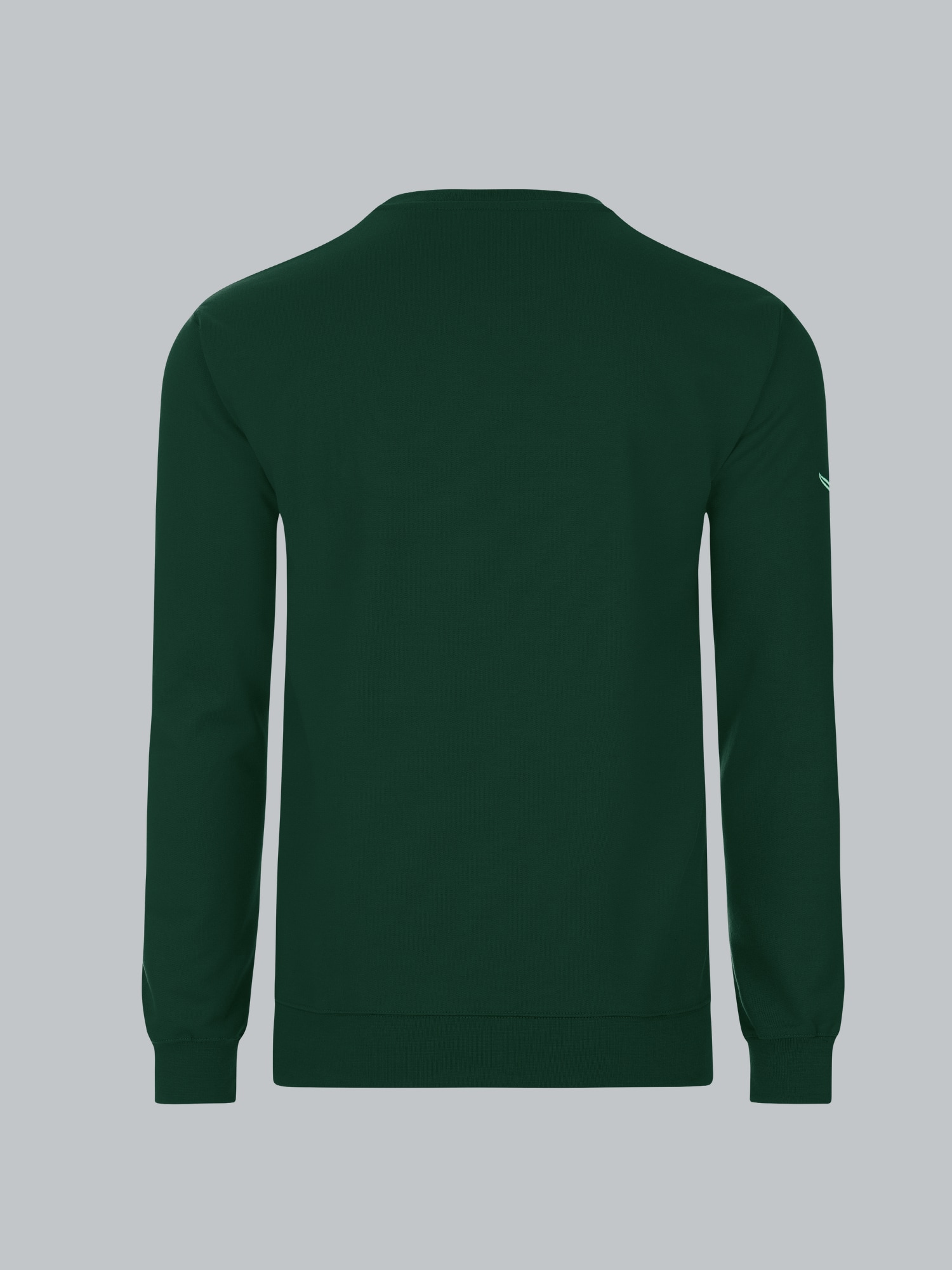 Sweatshirt aus Biobaumwolle Tanne