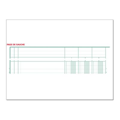 Exacompta - Piqûre tête paresseuse - 10 colonnes sur 2 pages - A4