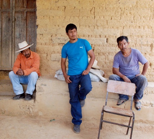 Café en grains : Mexique Bio - Sueño - Décaféiné à l'eau - 250g - Cafés Lugat