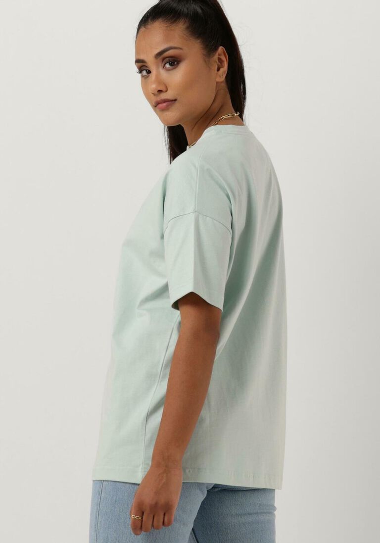 LYLE & SCOTT mint lyle & scott t-shirt oversized t-shirt