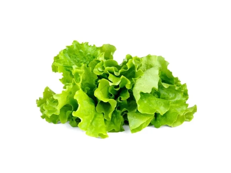 Click & Grow Smart Garden refill Lettuce 3pcs