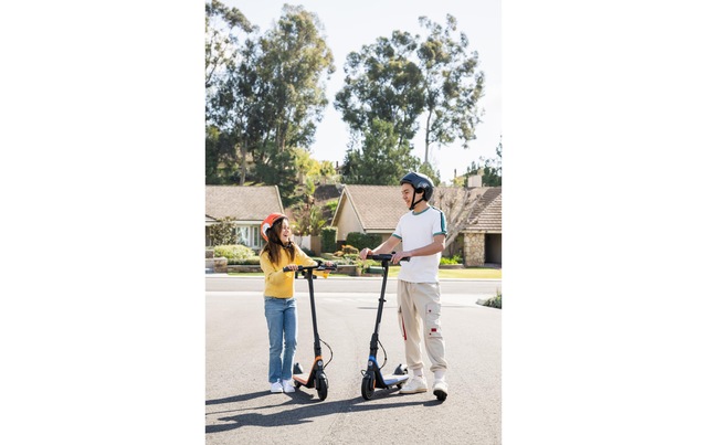 ninebot by Segway E-Scooter »Kickscooter C2 Pro E ZING« 16 km/h 17 km