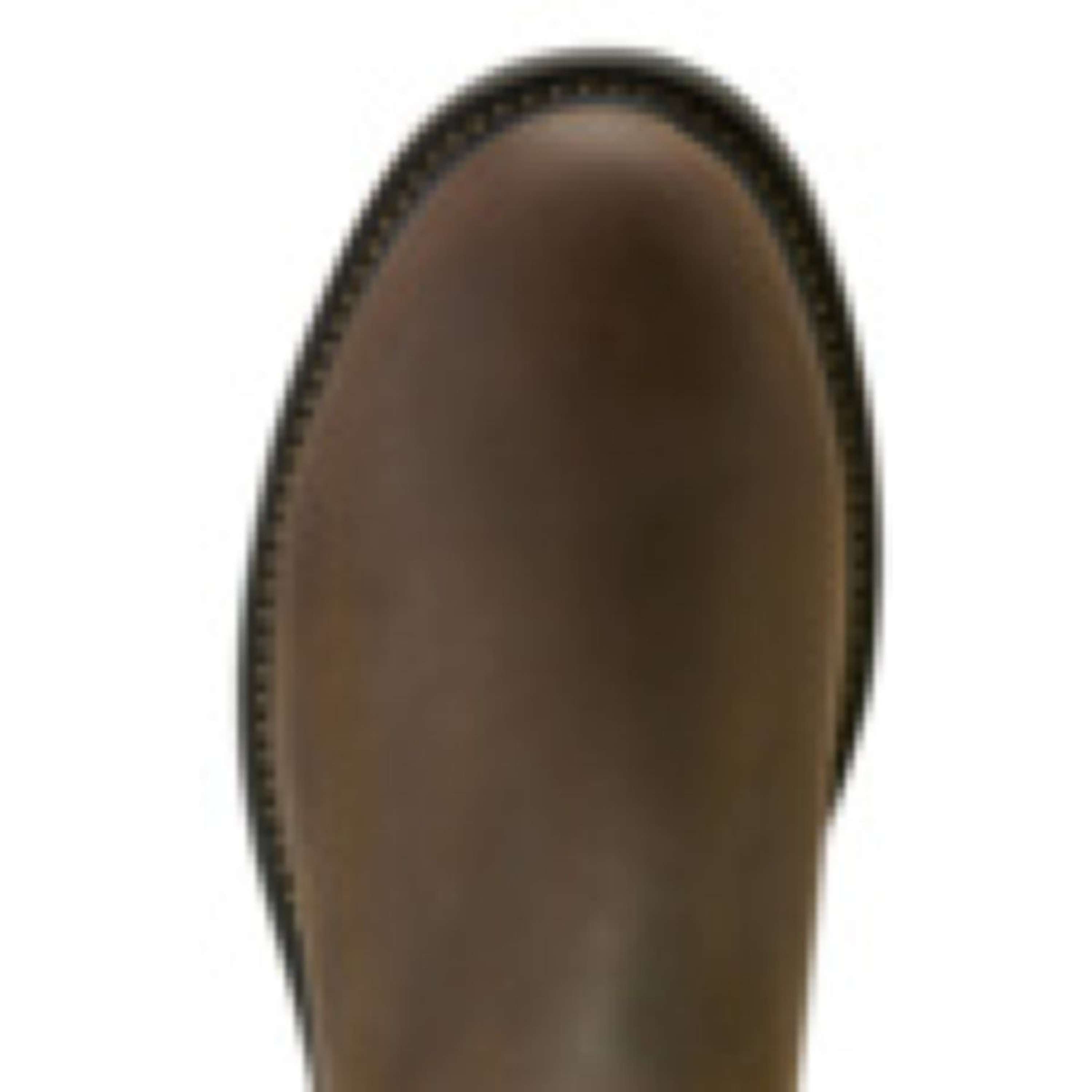 Ariat Jodhpurs Groundbreaker Chelsea H20 Heren Donkerbruin