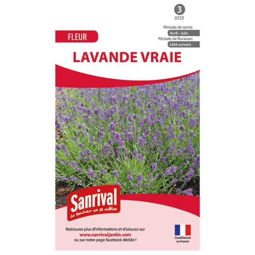 Graines lavande vraie