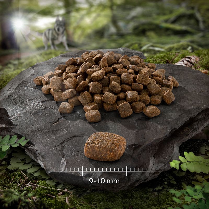 Wolf of Wilderness Mini Soft Silvery Lakes poulet, canard pour chien
