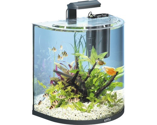 Tetra AquaArt Explorer Line 60L aquarium met verlichting, verwarming en filter (zonder kast), zwart