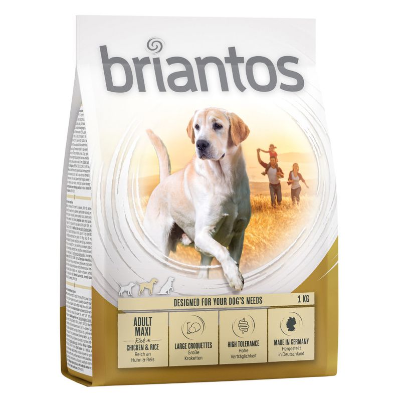 Briantos Adult Maxi, poulet & riz