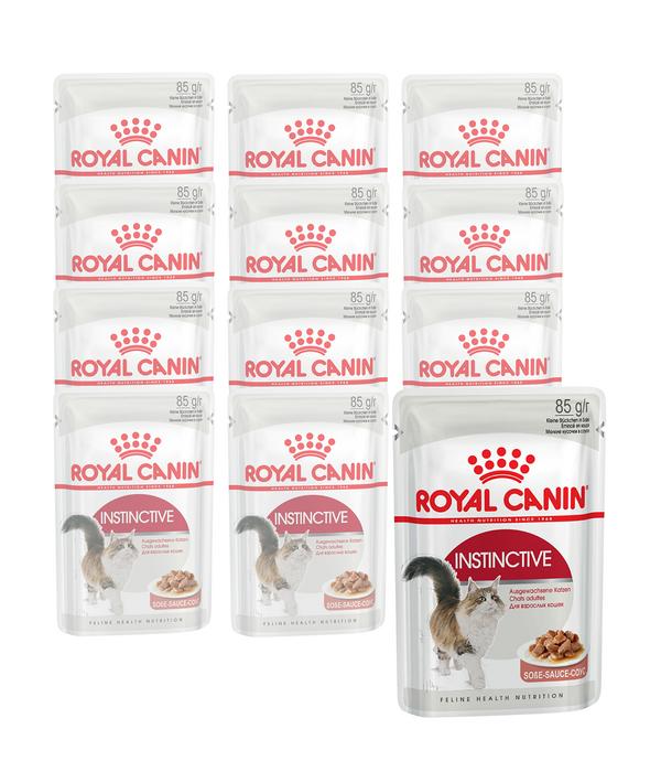 ROYAL CANIN® Nassfutter für Katzen