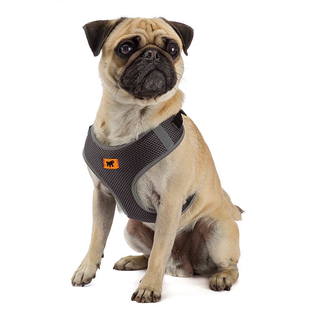 Harnais pour chiens nikita m, respirant, rembourré et ajustable