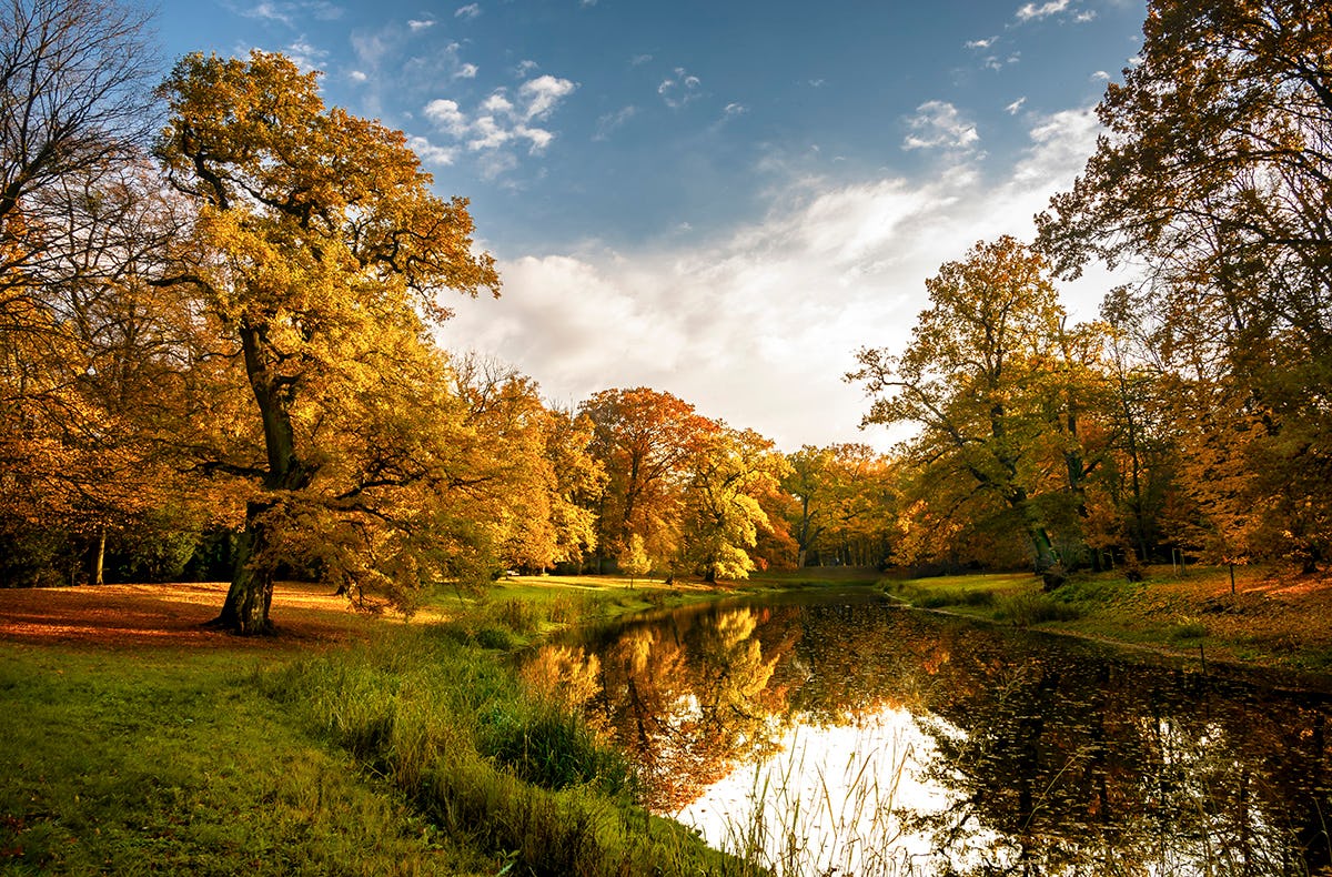 Kurzurlaub Dessau