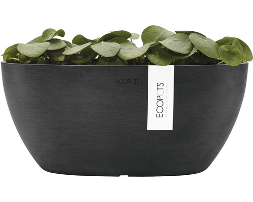 Ecopots Sofia plantenbak, kunststof, 30 x 13 x 13,5 cm, donkergrijs