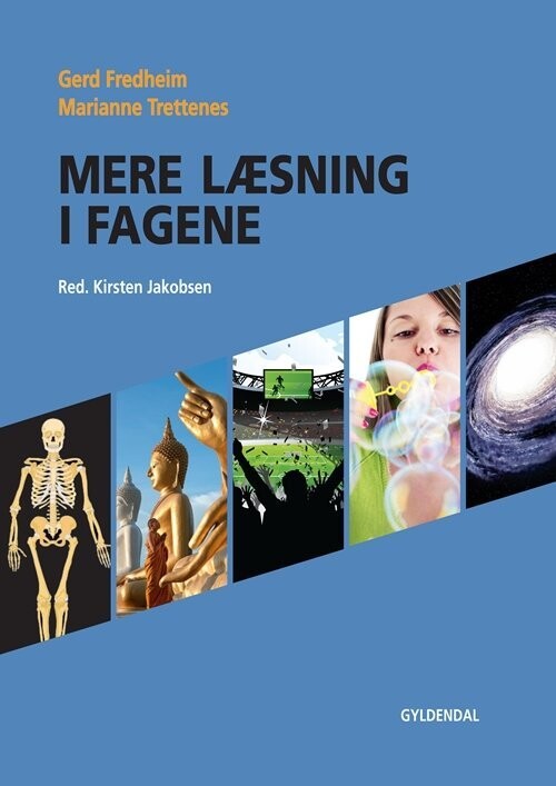 Mere Læsning I Fagene - Gerd Fredheim - Bog