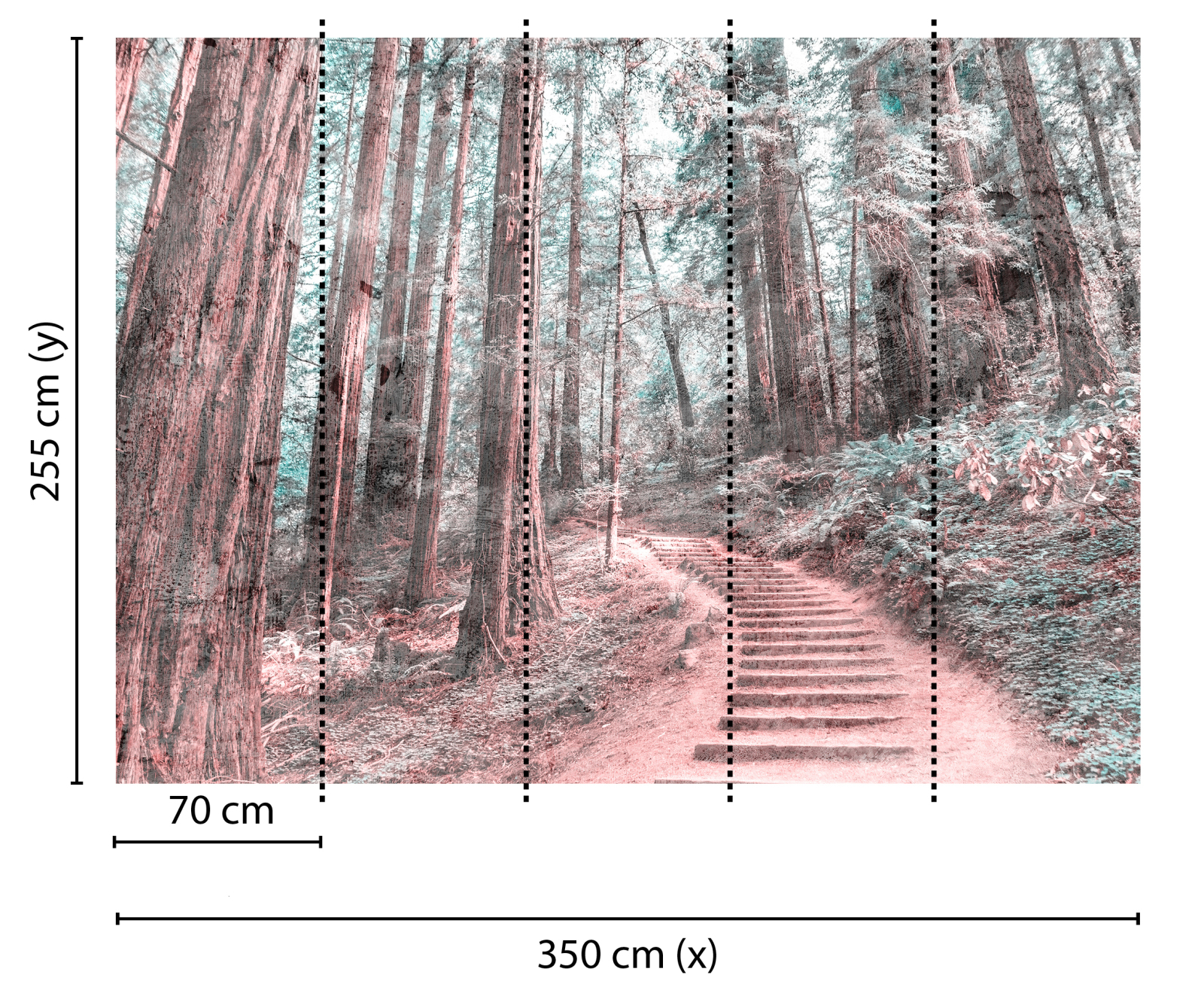 Fototapete DESIGNWALLS - braun-grün - Wald - 2,55 Meter