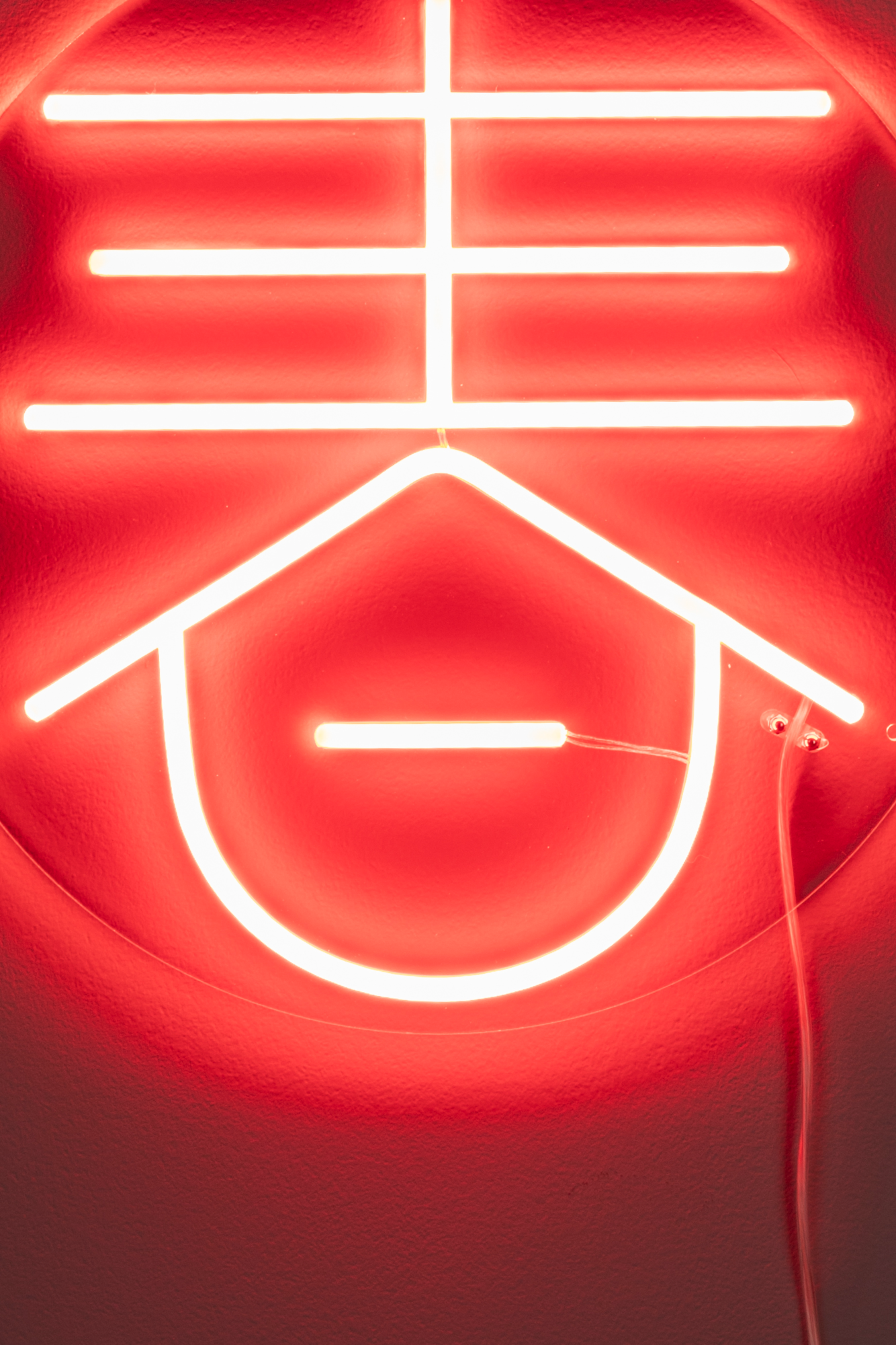 Neon Wall Light Sya Spring
