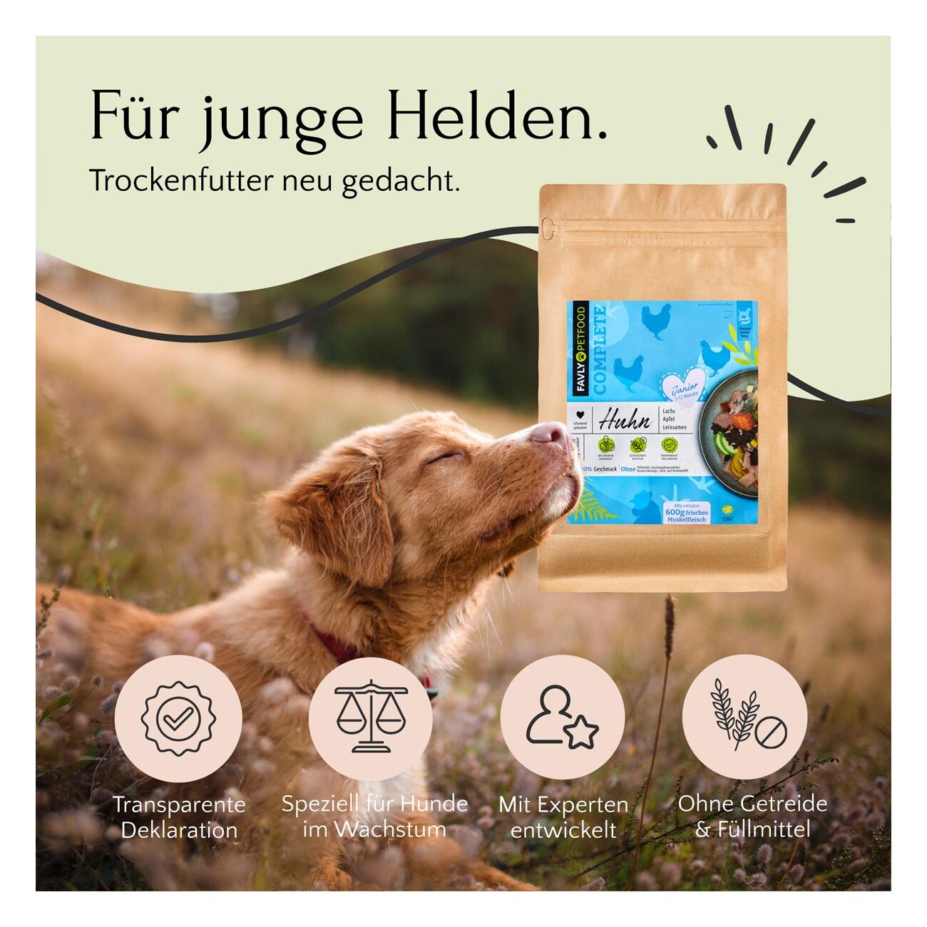 FAVLY Petfood Trockenfutter Huhn mit Lachs, Apfel & Leinsamen (Junior) 3 kg