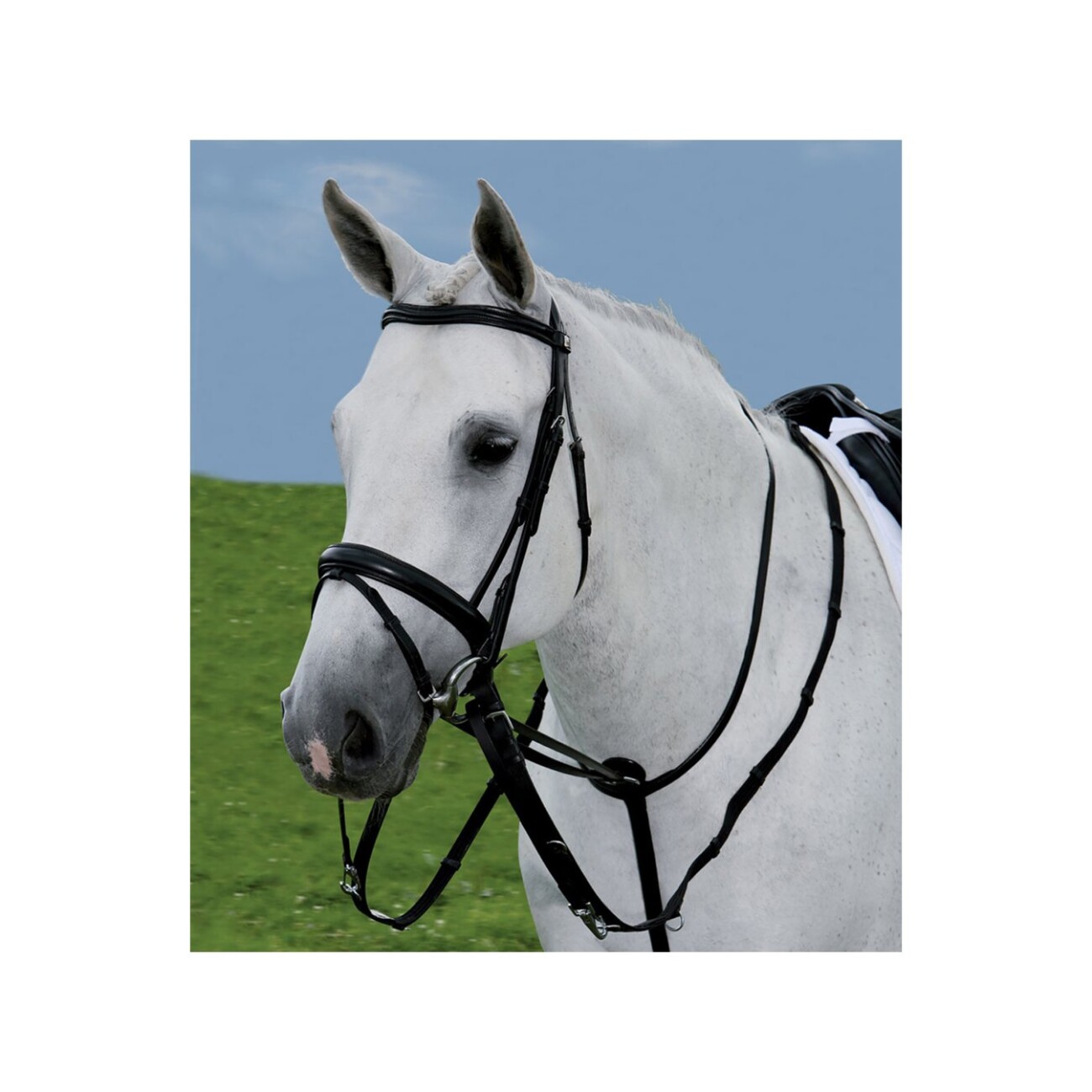 Waldhausen GmbH Waldhausen STAR Thiedemannzügel WB (Warmblut)