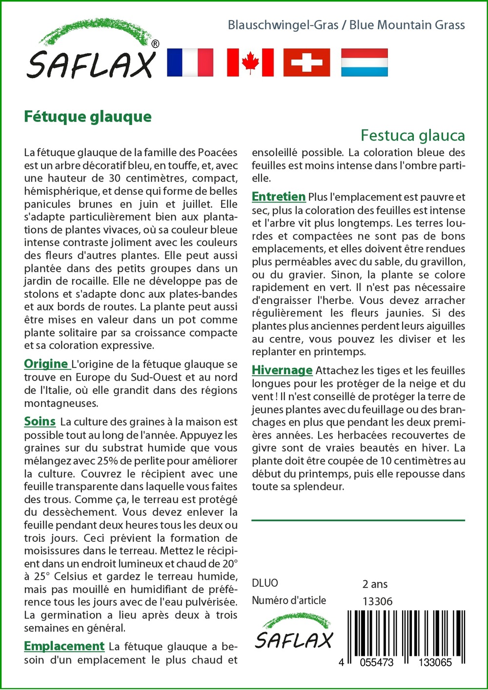 Fétuque glauque - 50 graines - avec substrat - festuca glauca