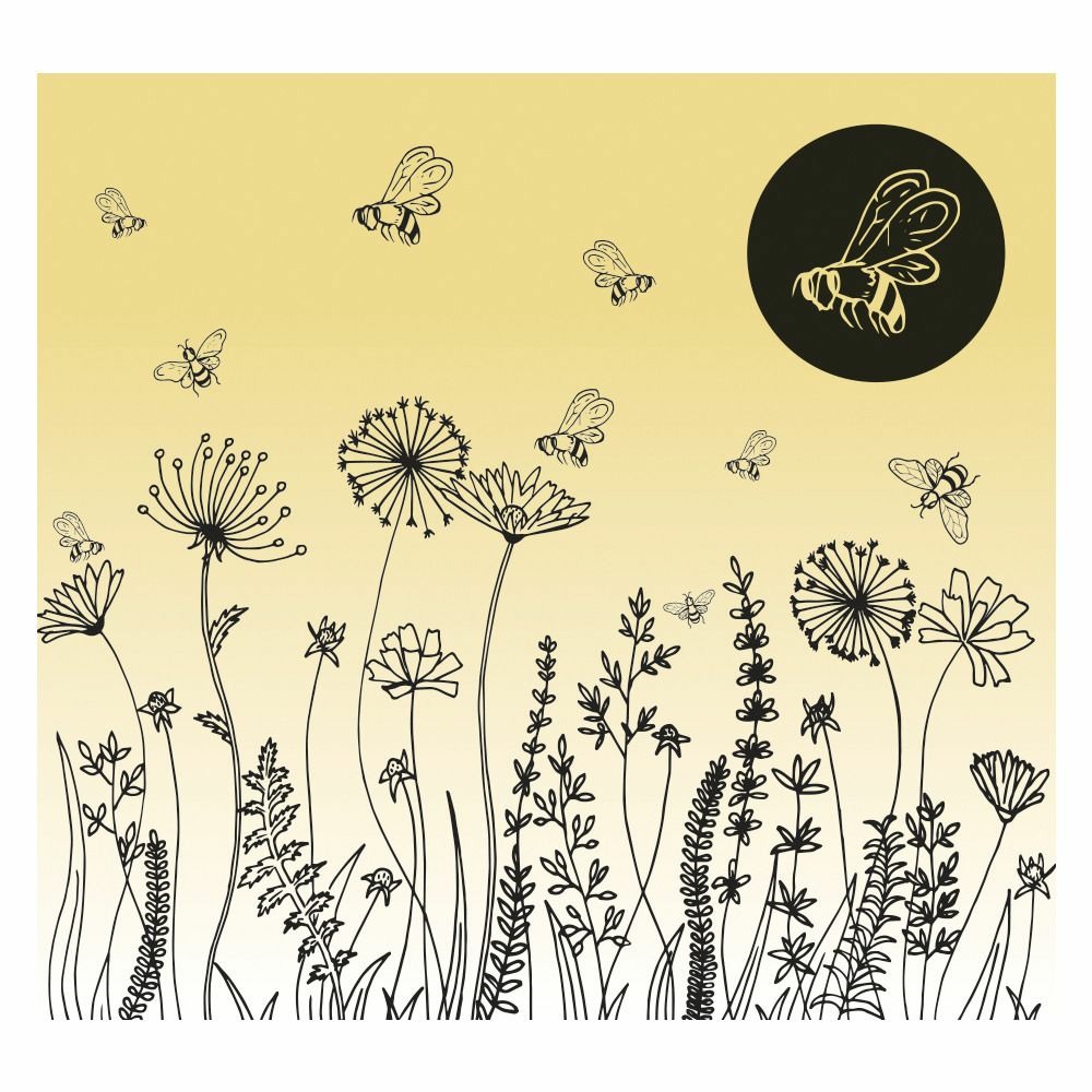 Mélange de graines de fleurs pour les abeilles