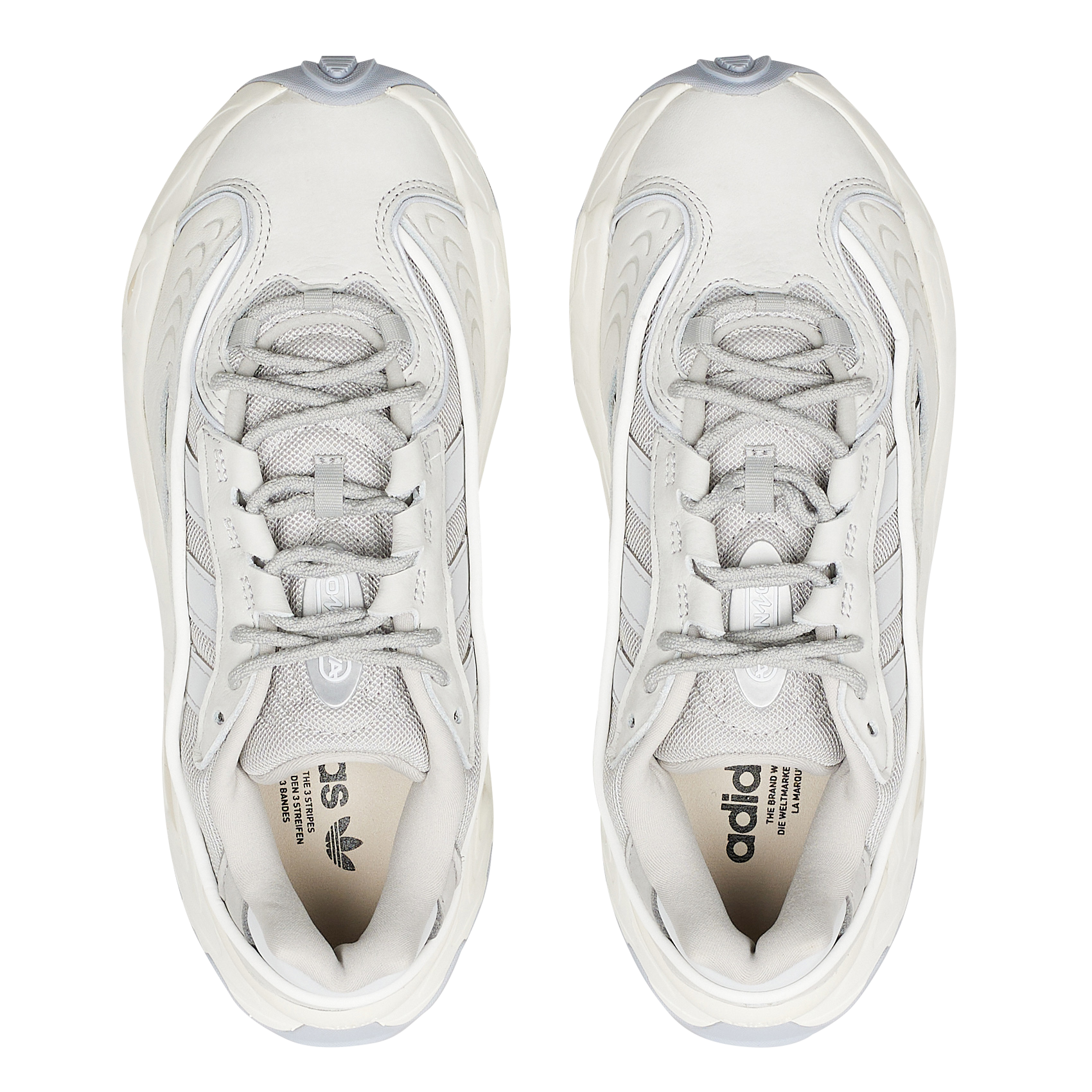 OZNOVA W - Baskets basses lacées | Gris