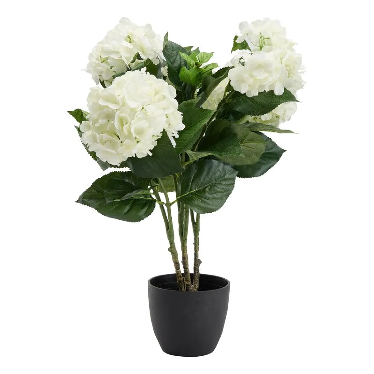 Atmosphera, Createur D'Interieur ATMOSPHERA Hortensia