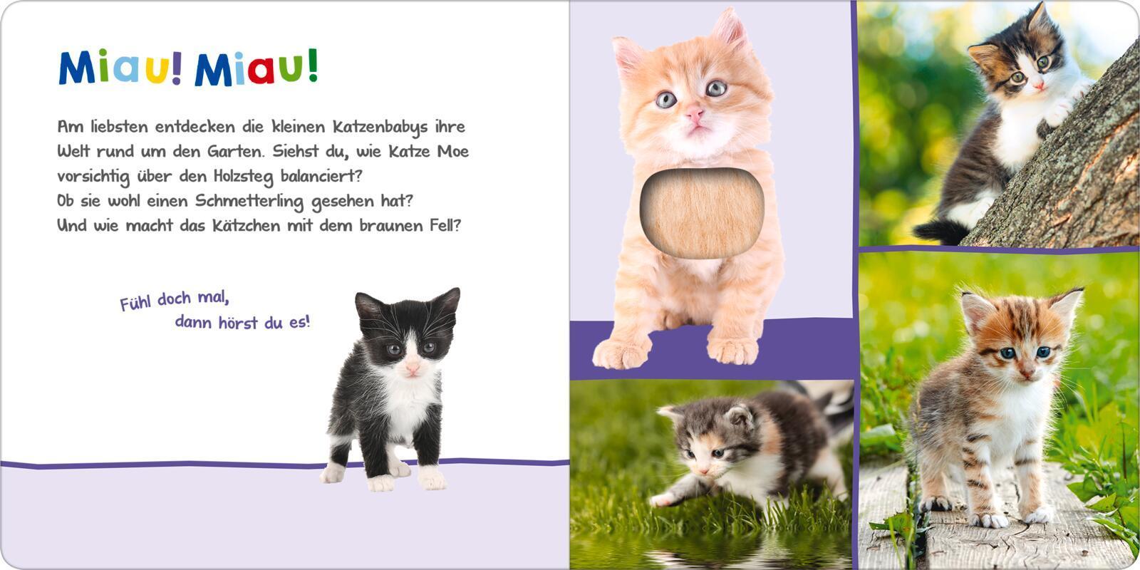 Hör mal rein, wer kann das sein? - Tierkinder im Frühling