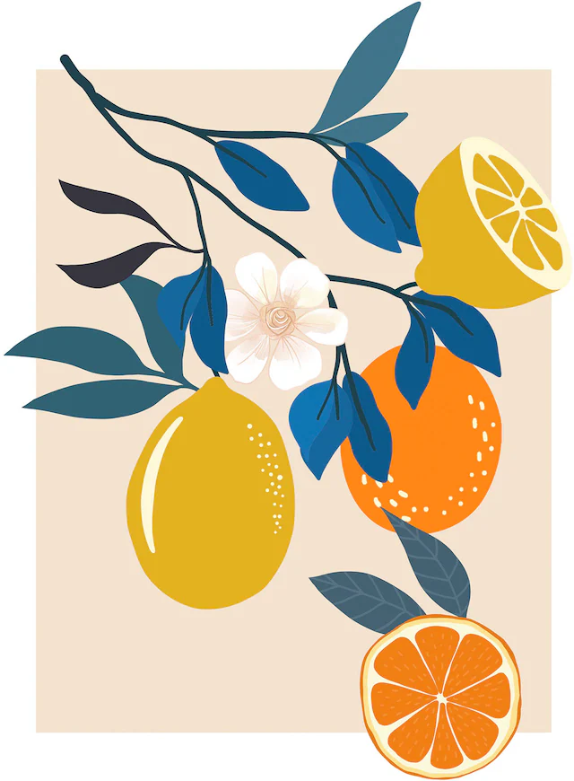 Komar Bild »Illustration Finest Fruits« Natur 1 Stk. tlg. Wandbild zur Dekoration - ohne Rahmen