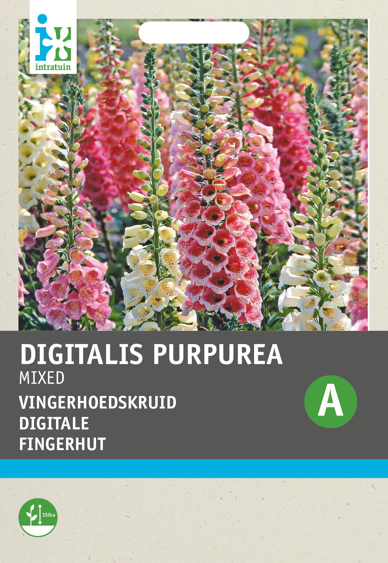 Intratuin bloemenzaad Vingerhoedskruid (Digitalis pupurea 'Gloxiniiflora')