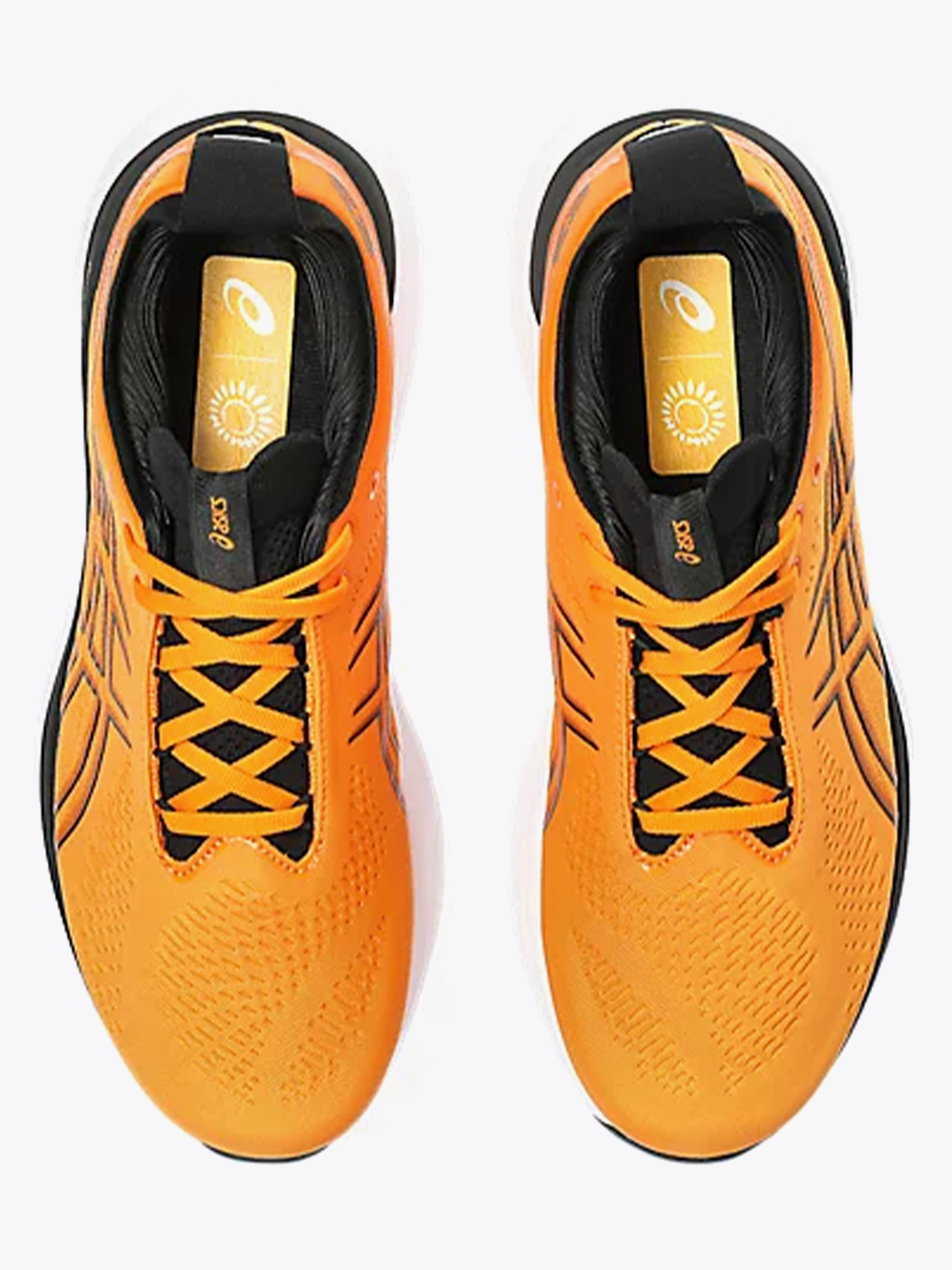 Gel-Nimbus 25
