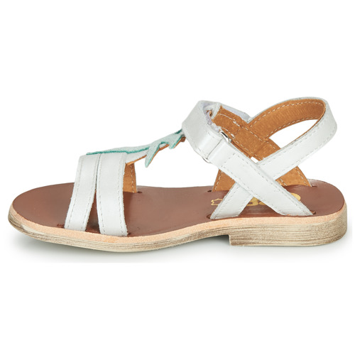 GBB - SAPELA - Blanc