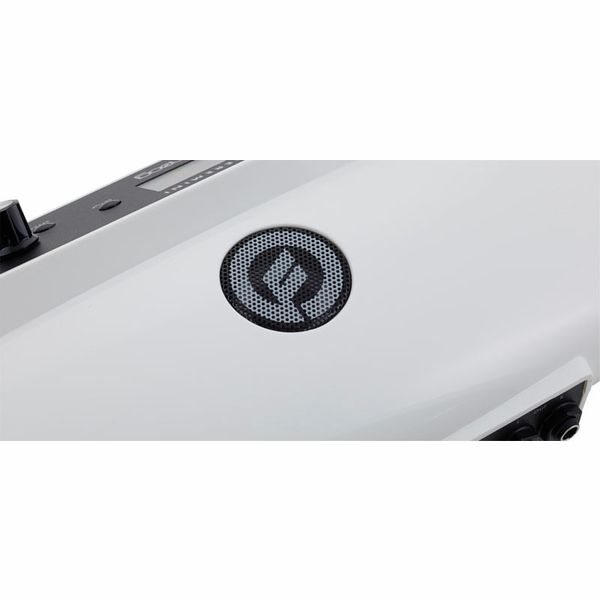 Moog Theremini