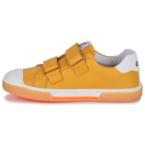 GBB - COSIMO - Jaune